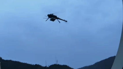 图片2.gif