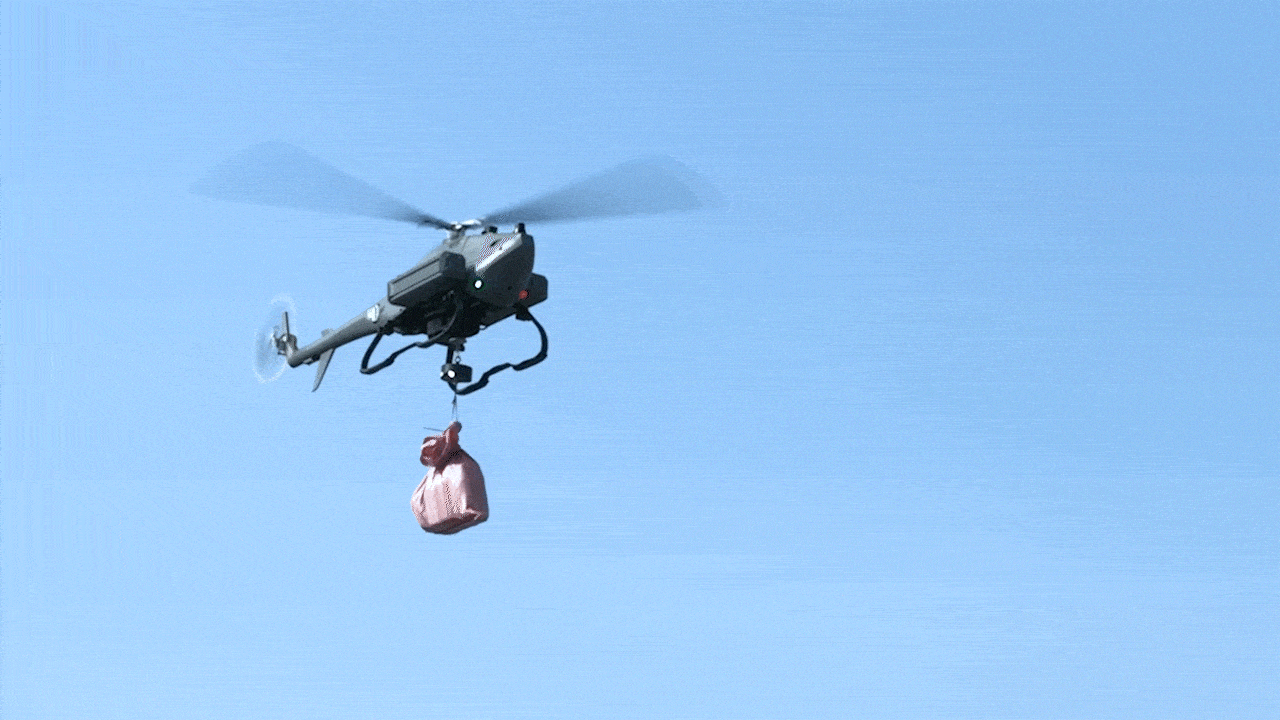 序列 01_compressed_compressed.gif